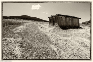 Alto Tajo020