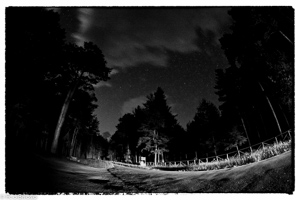 Alto Tajo021
