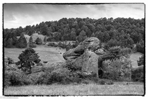 Alto Tajo022