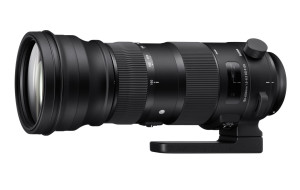 Sigma 150-600mm F5-6.3 DG OS HSM