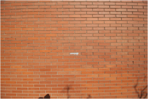  Canon EF-S 10-18/4.5-5.6 IS STM muestra gráfica 10 mm