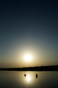 (c) Jordi Ferrando i Arrufat (c) Jordi Ferrando i Arrufat