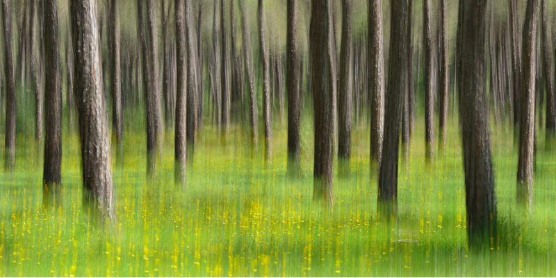 Foto de Diego López