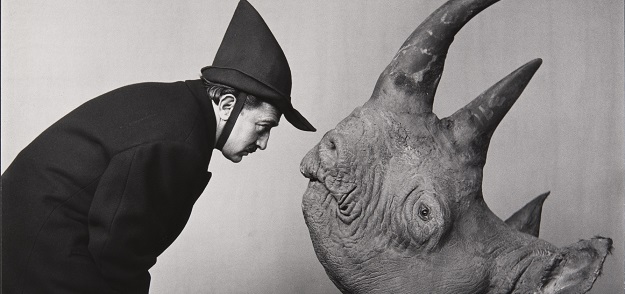 Dalí and Rhinoceros
