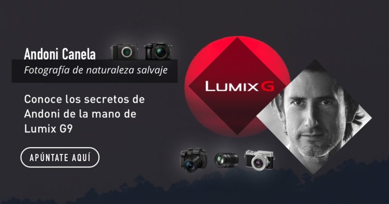 Fotografía de naturaleza salvaje, con Andoni Canela